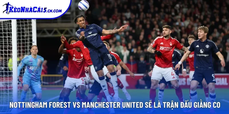 Nottingham Forest vs Manchester United sẽ là trận đấu giằng co Nottingham Forest vs Manchester United sẽ là trận đấu giằng co