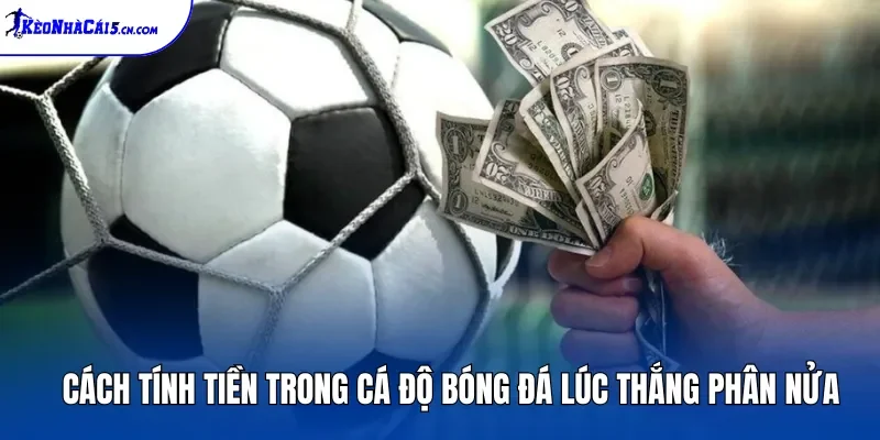 Cách tính tiền trong cá độ bóng đá lúc thắng phân nửa